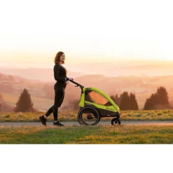 Sportrex 1 Limited Edition Einsitzer Fahrradanhänger Buggy Mit Joggerfunkti... -Familien Geschäft qeridoo sportrex 1 limited edition einsitzer fahrradanhanger buggy mit joggerfunkti 4